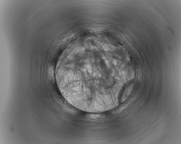 X0000115680575200911120949