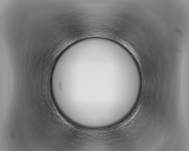 X0000115680577200911120949