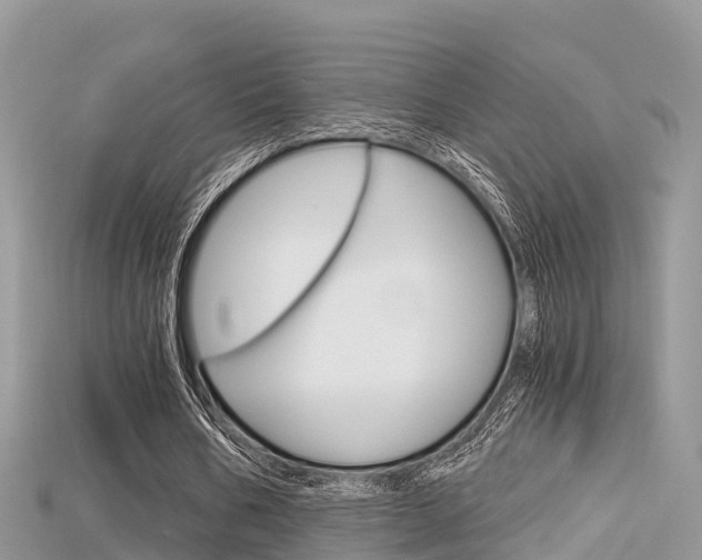 X0000115680578200911120949