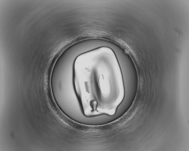 X0000115680581200911120949