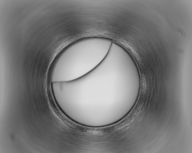 X0000115680582200911120949