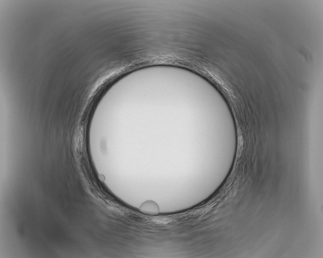 X0000115680583200911120949