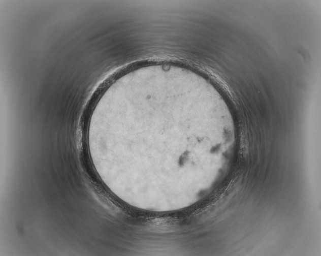 X0000115680584200911120949