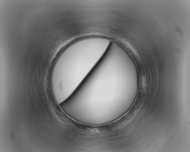 X0000115680588200911120949