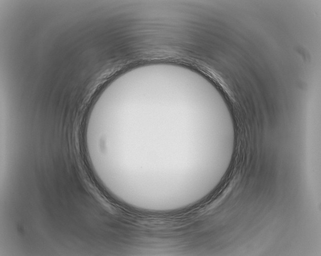 X0000115680589200911120949