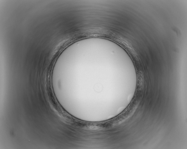 X0000115680590200911120949