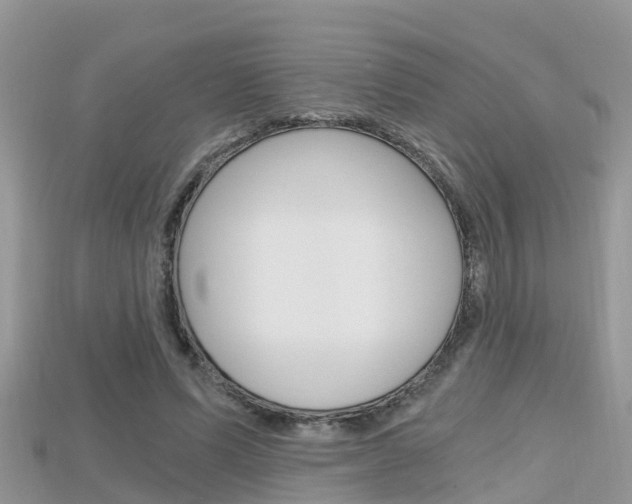 X0000115680591200911120949