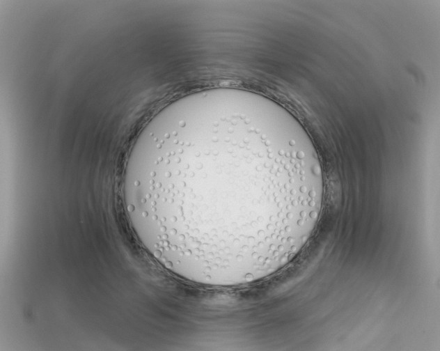 X0000115680594200911120949