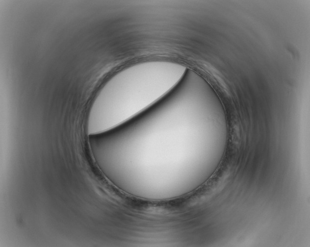 X0000115680596200911120948