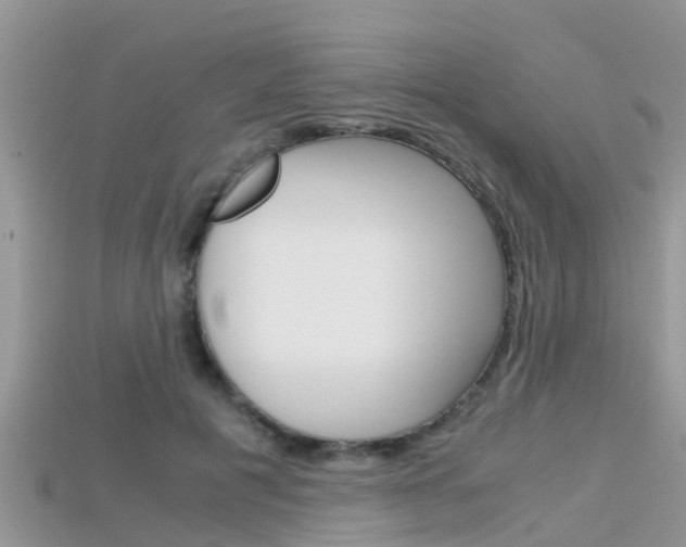 X0000115680601200911120948