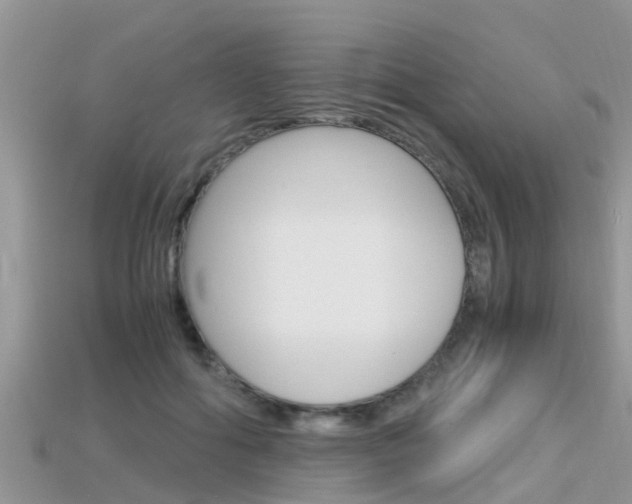 X0000115680602200911120948