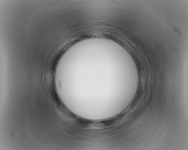 X0000115680603200911120948