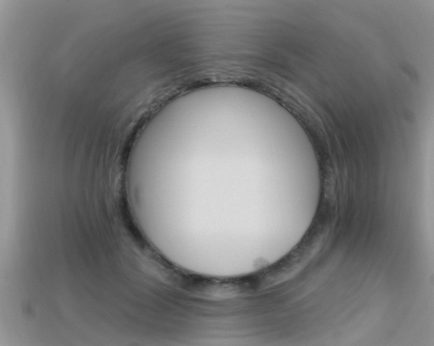 X0000115680604200911120948