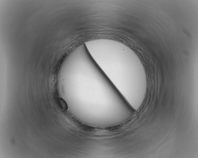 X0000115680605200911120948