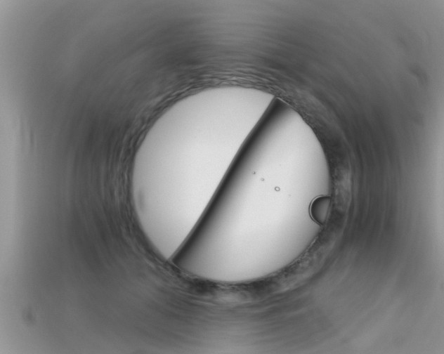 X0000115680608200911120948