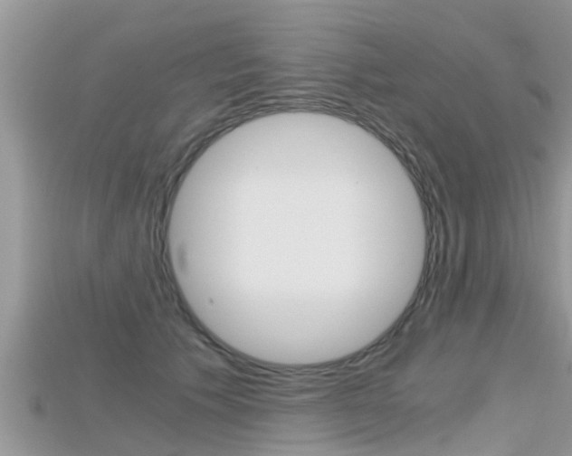 X0000115680609200911120948