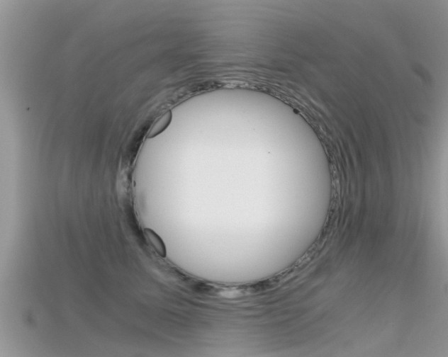 X0000115680611200911120948