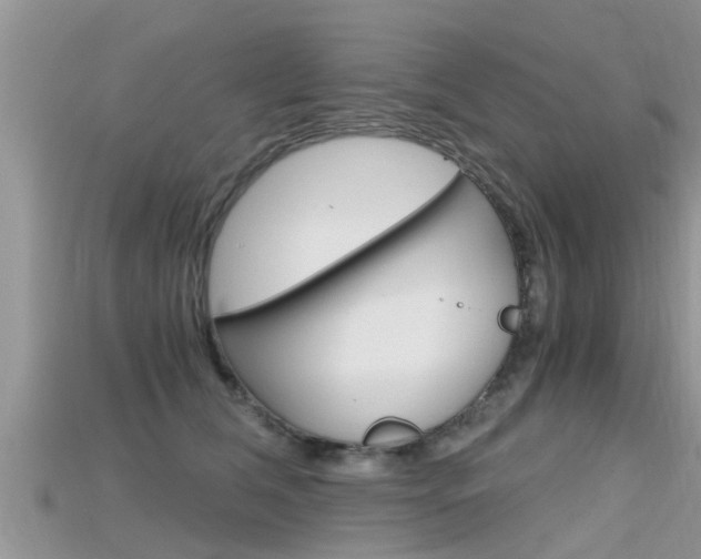 X0000115680612200911120948