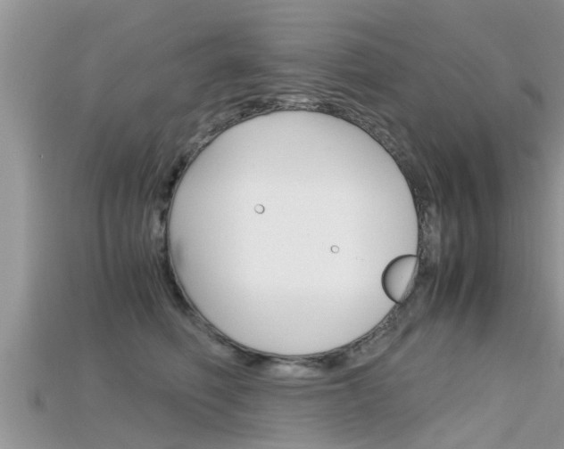 X0000115680614200911120948