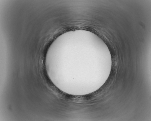 X0000115680615200911120948