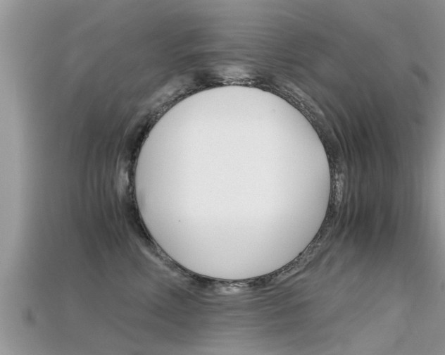 X0000115680618200911120948