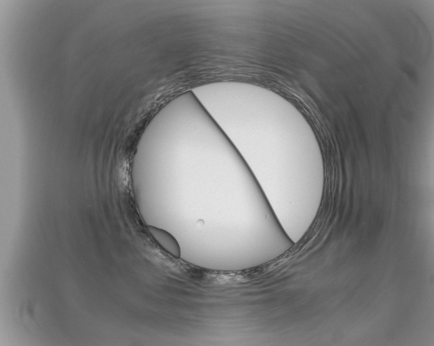 X0000115680621200911120948