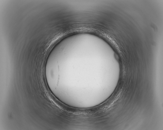 X0000115680625200911120948