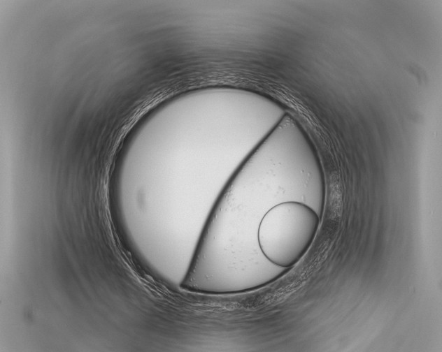 X0000115680626200911120948