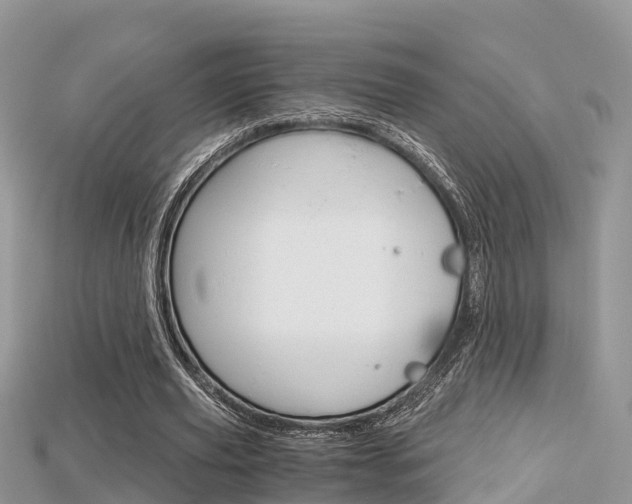 X0000115680629200911120948