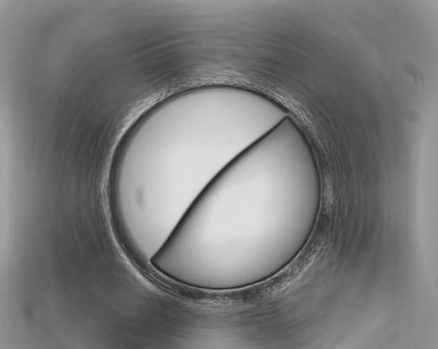 X0000115680630200911120948