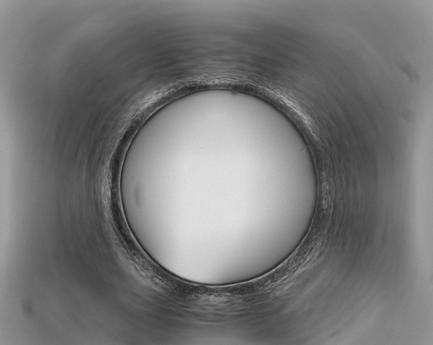 X0000115680631200911120948