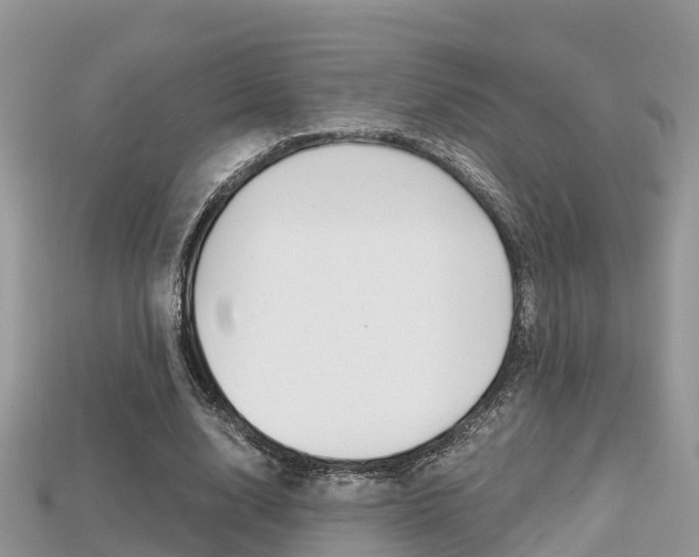 X0000115680632200911120948
