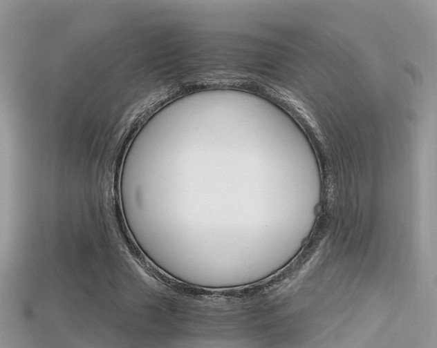X0000115680633200911120948
