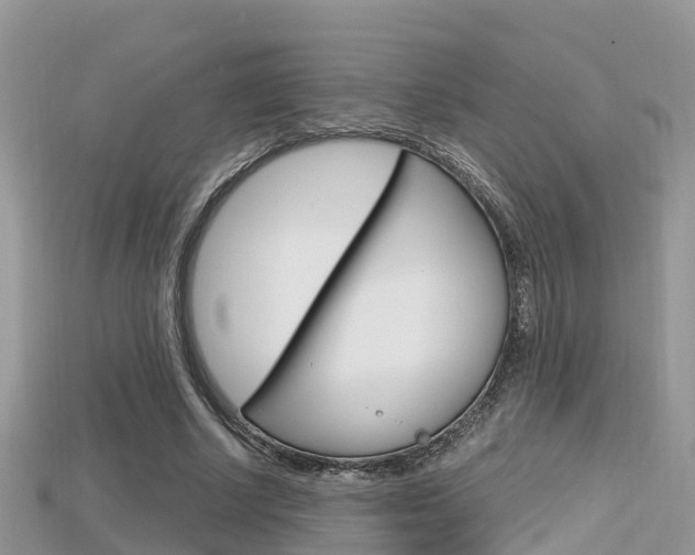X0000115680634200911120948