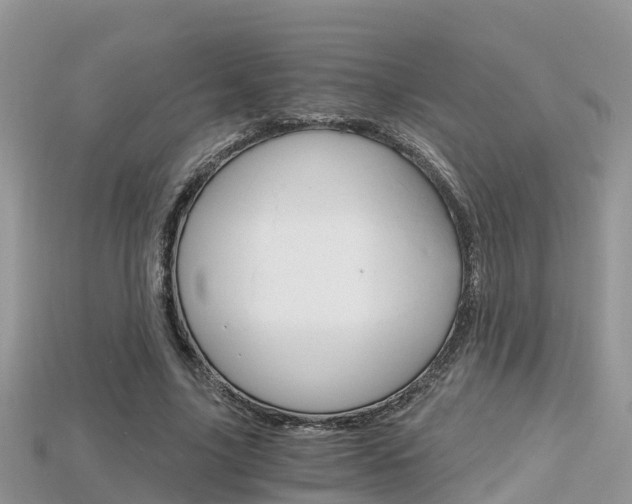 X0000115680635200911120948