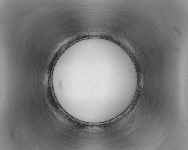 X0000115680636200911120948