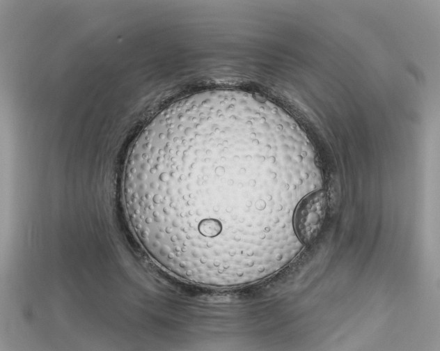 X0000115680639200911120948