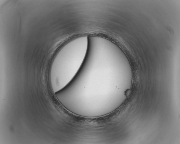 X0000115680640200911120948