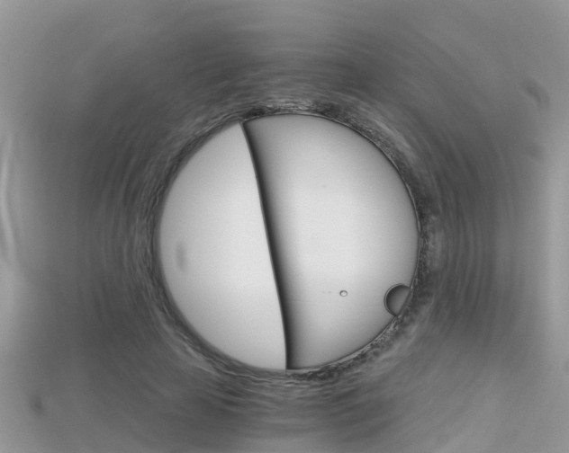 X0000115680641200911120948