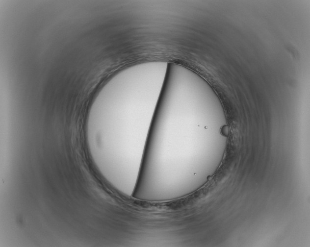 X0000115680642200911120948