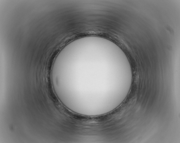 X0000115680643200911120948