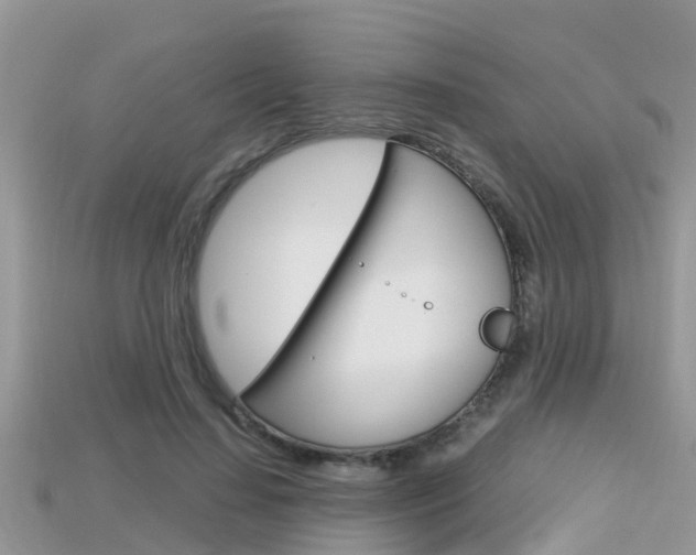 X0000115680644200911120948