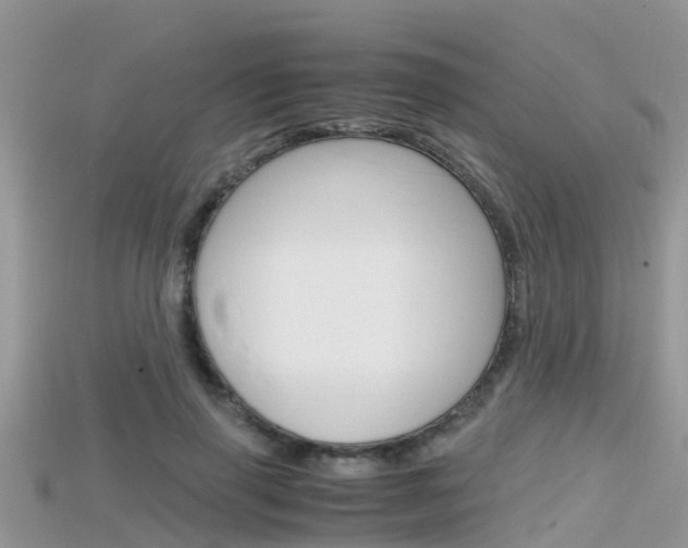 X0000115680645200911120948
