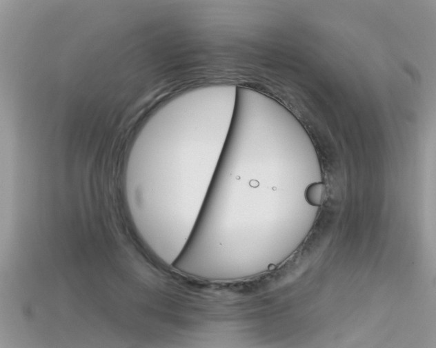 X0000115680648200911120948