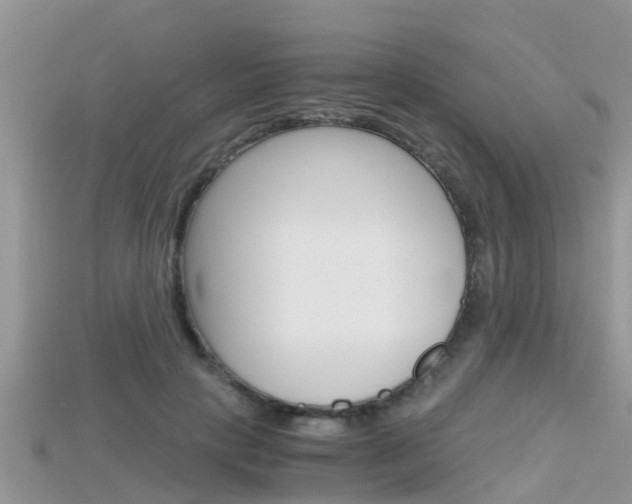 X0000115680649200911120948