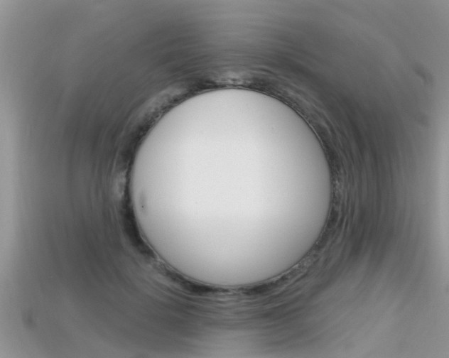 X0000115680652200911120948