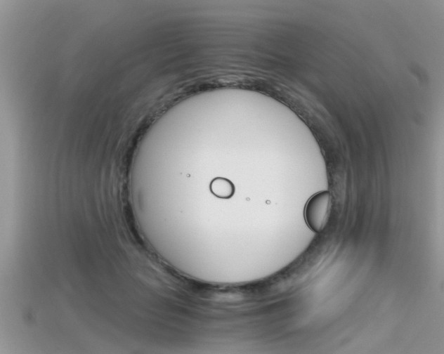 X0000115680653200911120948