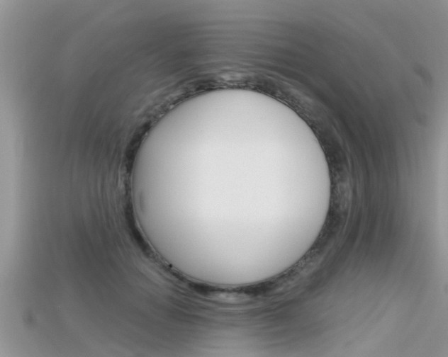 X0000115680654200911120948