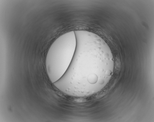 X0000115680659200911120948