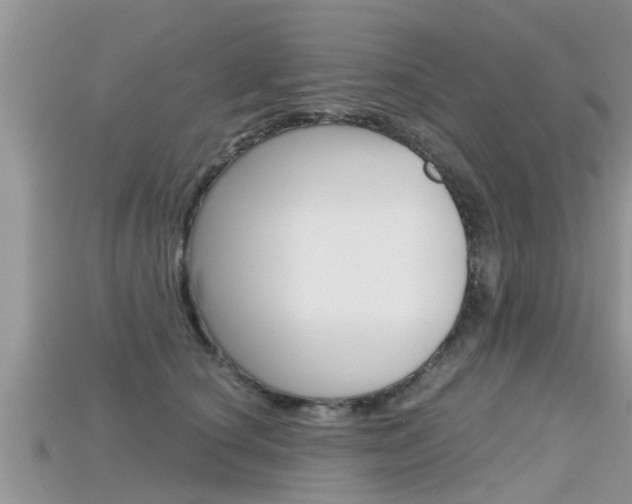 X0000115680660200911120948